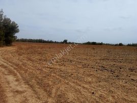 Sarıçam Ünlüce'de 46 Dönüm Verimli Düz Tarla