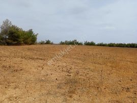 Sarıçam Ünlüce'de 46 Dönüm Verimli Düz Tarla