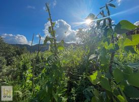 Fırsat! Ordu'da Cep Telefonu Fiyatına 423 M² İmarlı Parsel !!!