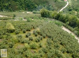 Ordu'da Mobilya Fiyatına 444 M² İmarlı Müstakil Tapulu Parsel