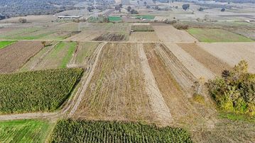 Mudanya Çayönü Mahallesinde 6.424 M² Kadastro Yoluna Cephe