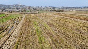 Mudanya Çayönü Mahallesinde 6.424 M² Kadastro Yoluna Cephe