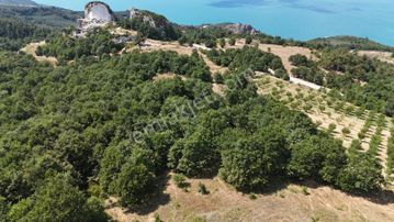 Realty Nexus' Dan İznik Mustafalı' Tarla