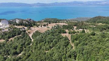 Realty Nexus' Dan İznik Mustafalı' Tarla