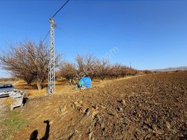 Coldwell Banker Safir'den Bulgurlu Da 21.693 M² Satılık Tarla