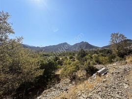 Antalya İbradı Aşağı Mahalle Satılık Arsa