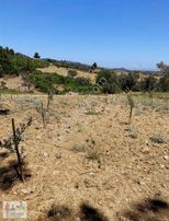 Sancaklıiğdecik Te Köye Yakın Paylı Mülkiyetli Zeytinlik