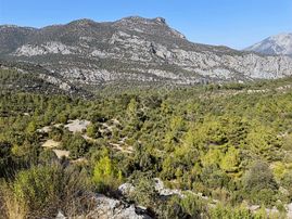 Antalya İbradı Aşağı Mahalle Çotak Mevkii Satılık Tek Tapu Tarla