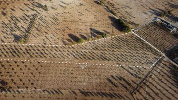 Aşağı İçkarada Asfalta Sıfır Müstakil Tapulu Zeytinlik Satışta