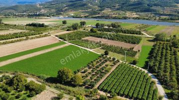 Pamukova Cihadiye'de 2003m2 Resmi Yollu Fırsat