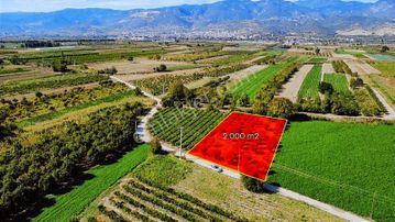 Pamukova Cihadiye'de 2003m2 Resmi Yollu Fırsat