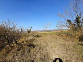 Adapazarı Karadere'de 601m2 Resmi Yollu Fırsat