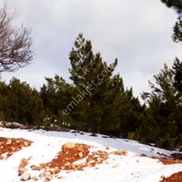 Kar Emlaktan Yenikonacık Efes Sitesi Yanında 400 M2 İmarlı İfrazlı Satılık Arsa