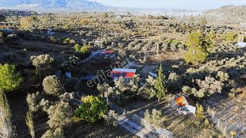 Kemalpaşa Armutluda Satılık Bahçe 926 M²