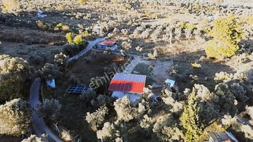 Kemalpaşa Armutluda Satılık Bahçe 926 M²