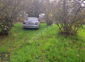 Karasu'da Full Deniz Manzaralı 7.618 M² Fındık Bahçesi