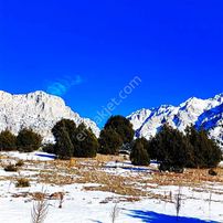 Kar Emlaktan Aşçıbekirli Fenese Mevkiinde 400 M2 İmarlı İfrazlı Satılık Arsa