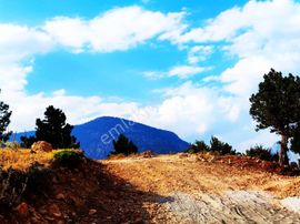 Kar Emlaktan Yenikonacık Bozkırlı Mevkiinde 400 M2 İmarlı İfrazlı Satılık Arsa