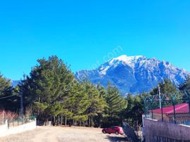 Kar Emlaktan Yenikonacık Kırıntı Mevkiinde 325 M2 İmarlı İfrazlı Satılık Arsa