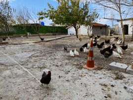 Çatalca Çanakçada Ticari İmarlı Yapı Kayıtlı 495 M2 Arsa