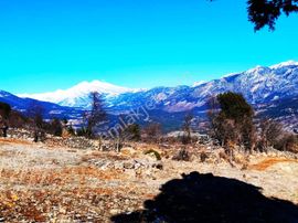 Kar Emlaktan Yenikonacık Bozkırlı Mevkiinde 370 M2 İmarlı İfrazlı Satılık Arsa