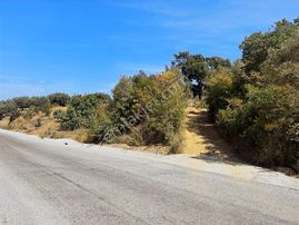 Nilüfer Sınırı Göl Manzaralı Resmi Yola Cephe Köye Yakın