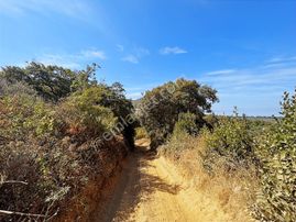 Nilüfer Sınırı Göl Manzaralı Resmi Yola Cephe Köye Yakın