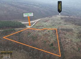 Serhatlı'dan Kurşunluda Satılık 13.200m2 Tarla