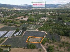 Serhatlı'dan Acil Satılık Fırsat Tarla