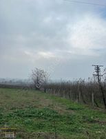 Serhatlı'dan Yiğitköyde Asfalt Üzerinde Değerli Tarla