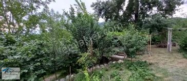 Mükemmel Manzara,doğal Yaşam