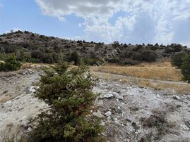 At_deresi_yakını Ormana Cephe_tek Tapu_bahçeye__uygun 3881m2