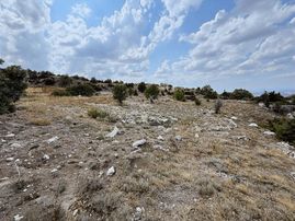 At_deresi_yakını Ormana Cephe_tek Tapu_bahçeye__uygun 3881m2