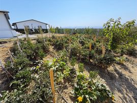Manzarasına Doyum Olmaz...50 M2 Evli, Hazır Kurulu Bahçe