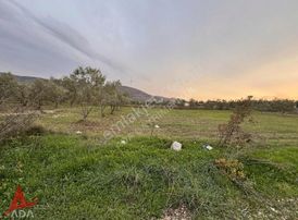 Bilecik Vezirhanda 278 M2 İmarlı Arsa