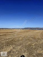 Denizli Bozkurt İnceler Yüksek M2 Uygun Fiyat....