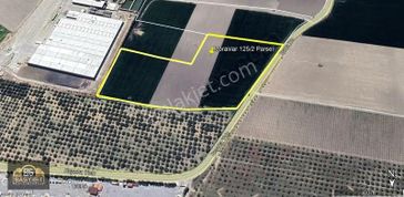 Moralılar Mh. Beyoba Yolu Üzeri 36500 M² Satılık Tarla