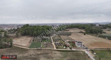 Manavgat Hatıplarda Hisse Tapulu Yeri Belirli 1200m2 Tarla