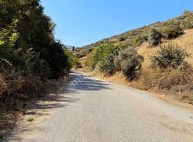 Turpa 360 Dan Yenişehirde Satılık Zeytinlik