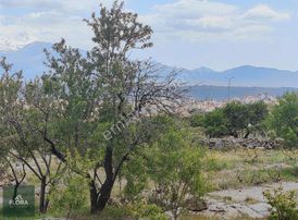 Bahçesaray Rızai Taksimli İmara Yakın Yatırımlık Yolu Açık Bağ