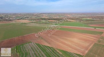 Karaca'dan Pınarhisar Osmancık'ta Satılık Köye Yakın Tarla