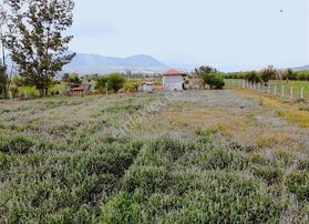 Elmalı Akçaenişte 7.050 M² Arsa - Ev Yapmaya Uygun