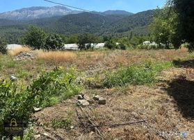 Çeltikçi Barajına 500 Mt Satılık Meyve Bahçesi Burdur Çeltikçi