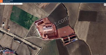 Türkmen Mahallesi Tam Teşekküllü Çiftlik Satılık