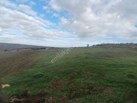 Silivri Akören Mahallesinde 3700 M2 Tek Tapu Tarla