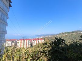 Delta Gayrimenkul'den Keşap Bozkurt Mah İmarlı Fırsat Arsa...