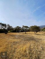 Mc Grup'tan Sütçüler'de Bahçe