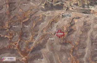 Satılık Tek Tapulu Baden Ve Üzüm Bağı