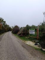 Bozalan Köyünde Satılık Müstakil Tapulu Zeytinlik