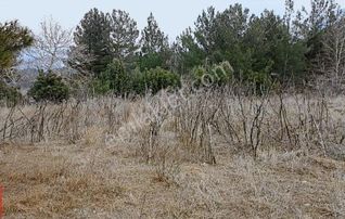 Pozantı Eskikonacık Yaylasında 2016 M2 Tek Tapu Satılık Arsa